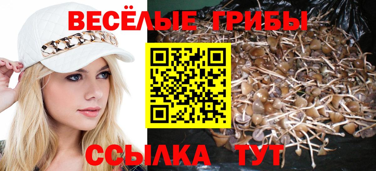 Галлюциногенные грибы MAGIC MUSHROOMS  Галлюциногенные грибы MAGIC MUSHROOMS  Вход с VPN  Грязи 