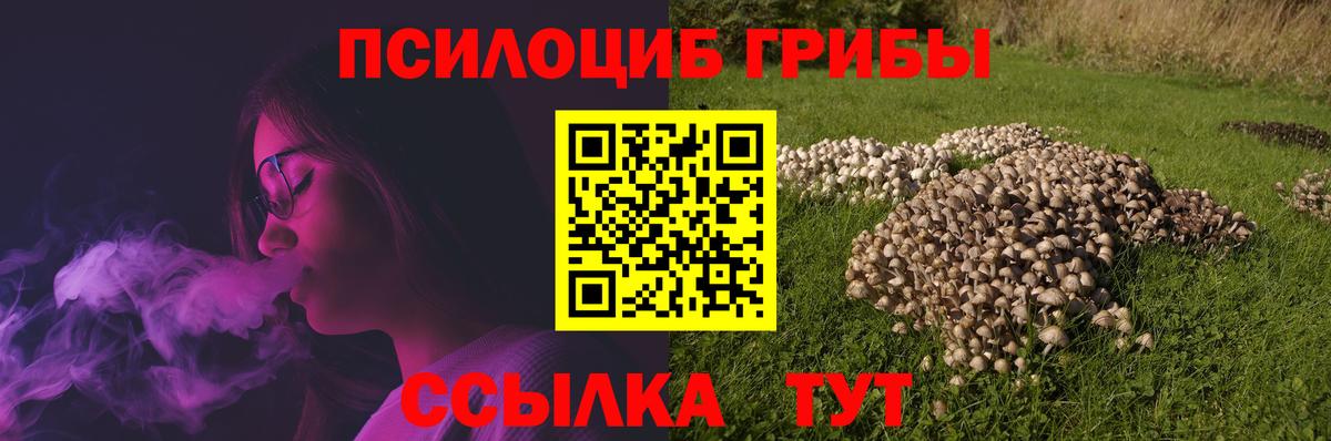Псилоцибиновые грибы мицелий Грязи